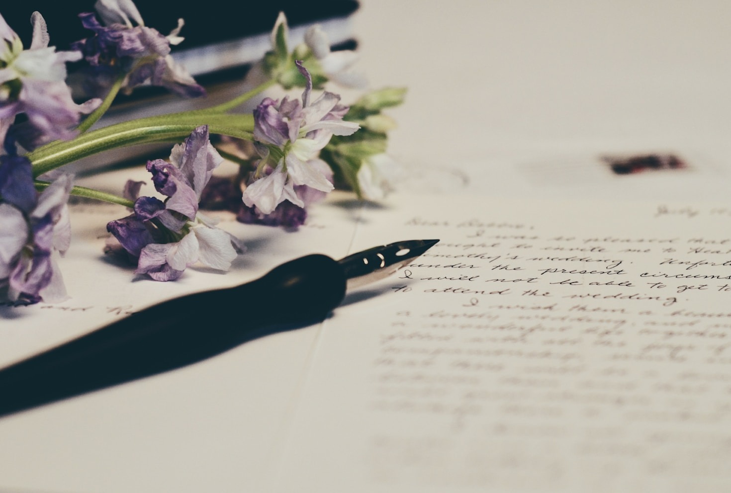 Finding Beauty in the Everyday Routine
