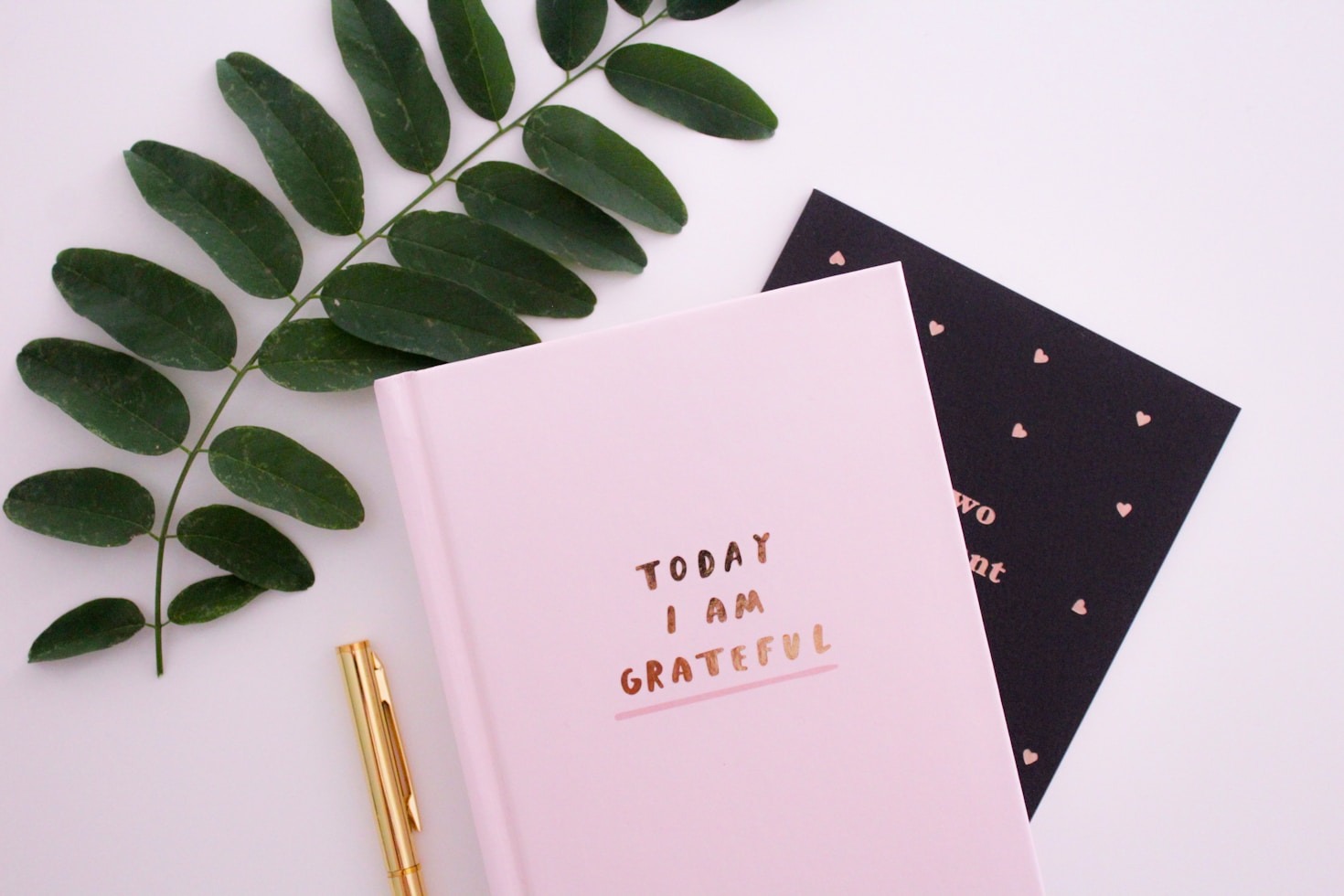 Capturing the Magic of Ordinary Days